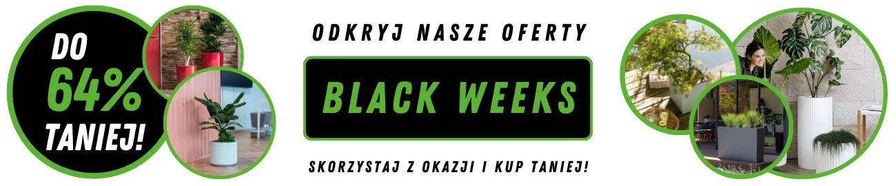 BLACK WEEK 2025